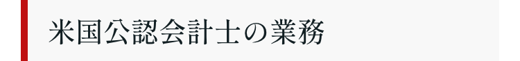 米国公認会計士の業務