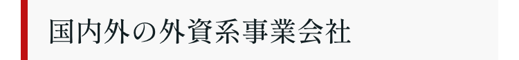 国内外の外資系事業会社