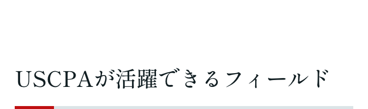 USCPAが活躍できるフィールド
